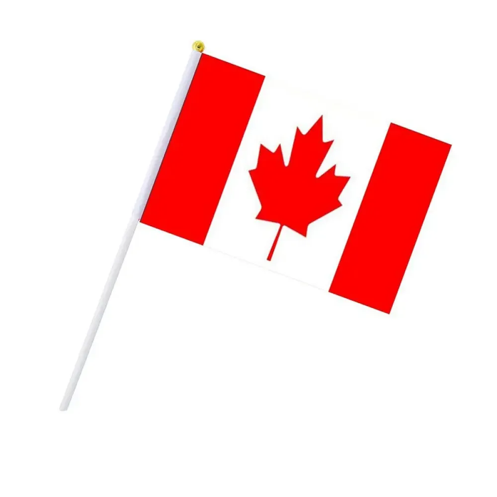 Hand-Holded National Flag Mini Handheld Banner