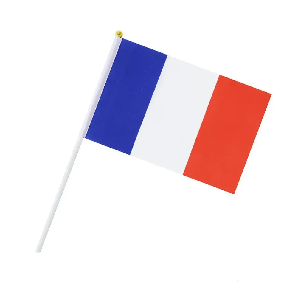 Hand-Holded National Flag Mini Handheld Banner