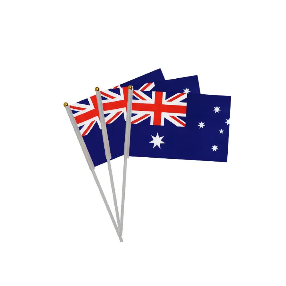 Hand-Holded National Flag Mini Handheld Banner